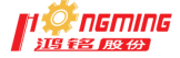 Guangdong Hongming Intelligent Joint Stock Co., Ltd